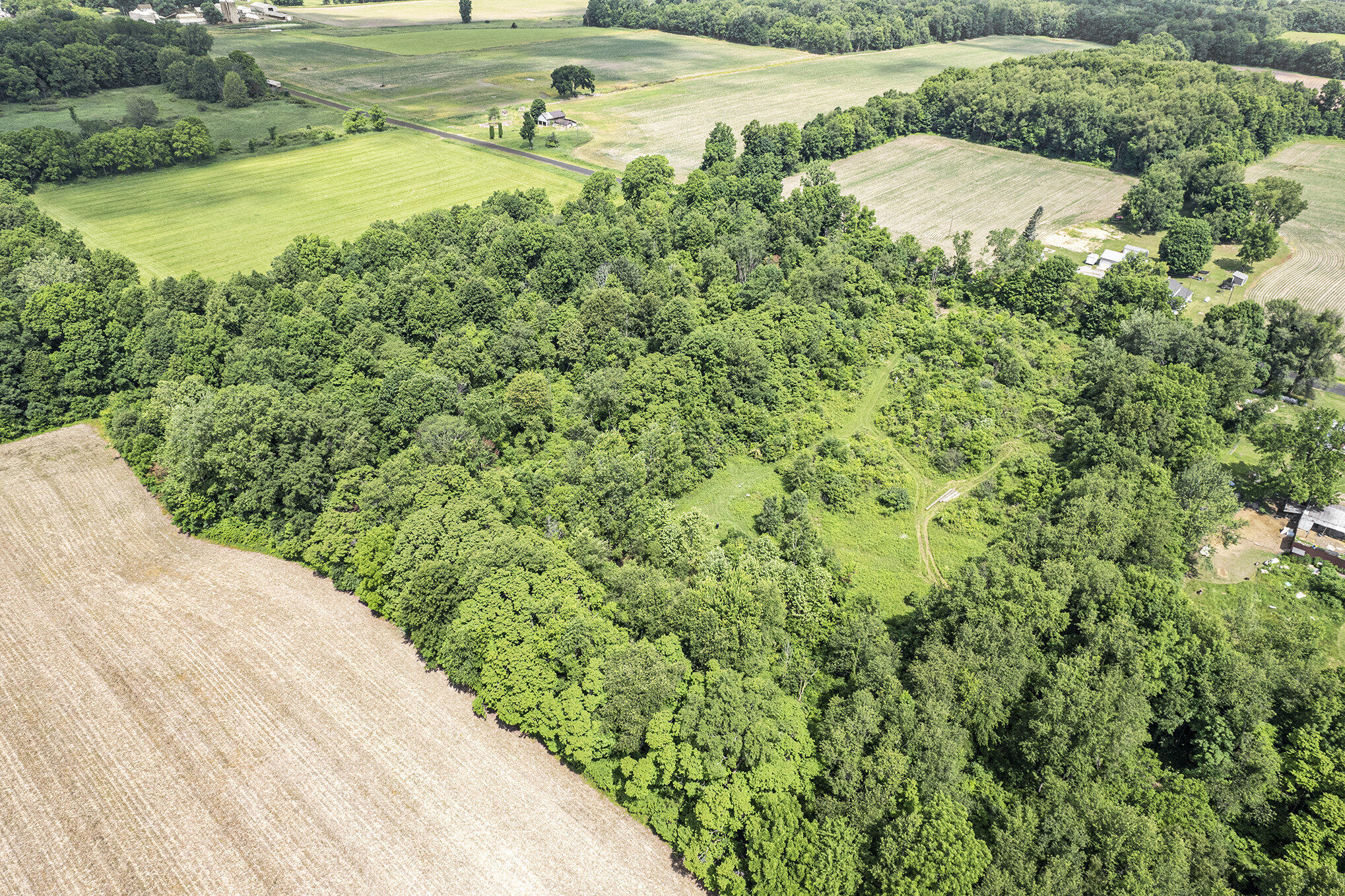 1065 South Butler Road Quincy, MI 49082 - Photo 8 of 10 004_dji_0004_864