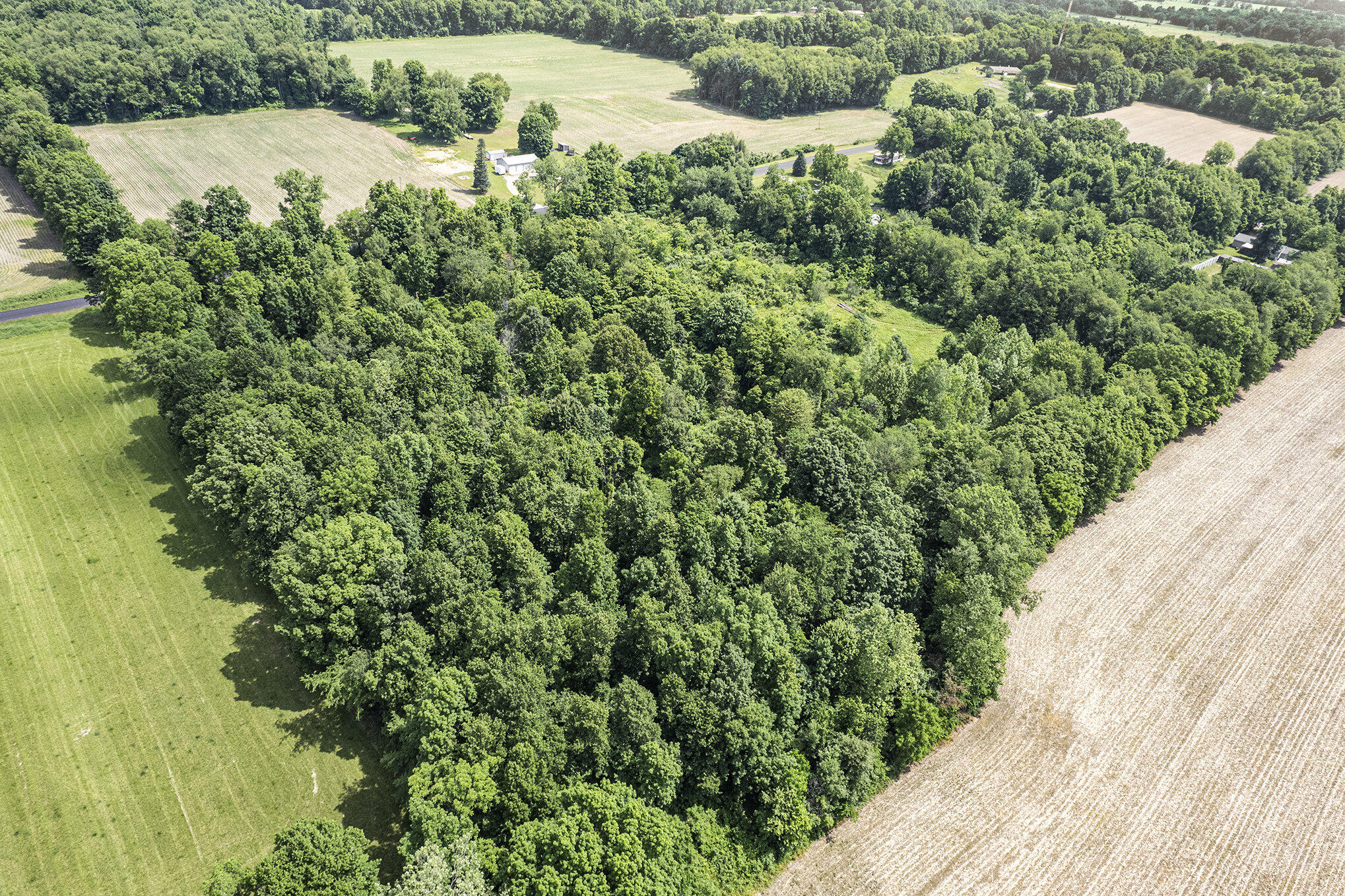 1065 South Butler Road Quincy, MI 49082 - Photo 9 of 10 005_dji_0006_686