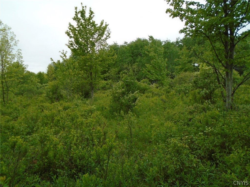 Lot B Pitcher Hill Road Pitcher, NY 13136 - Photo 12 of 29 Gallery Image 12