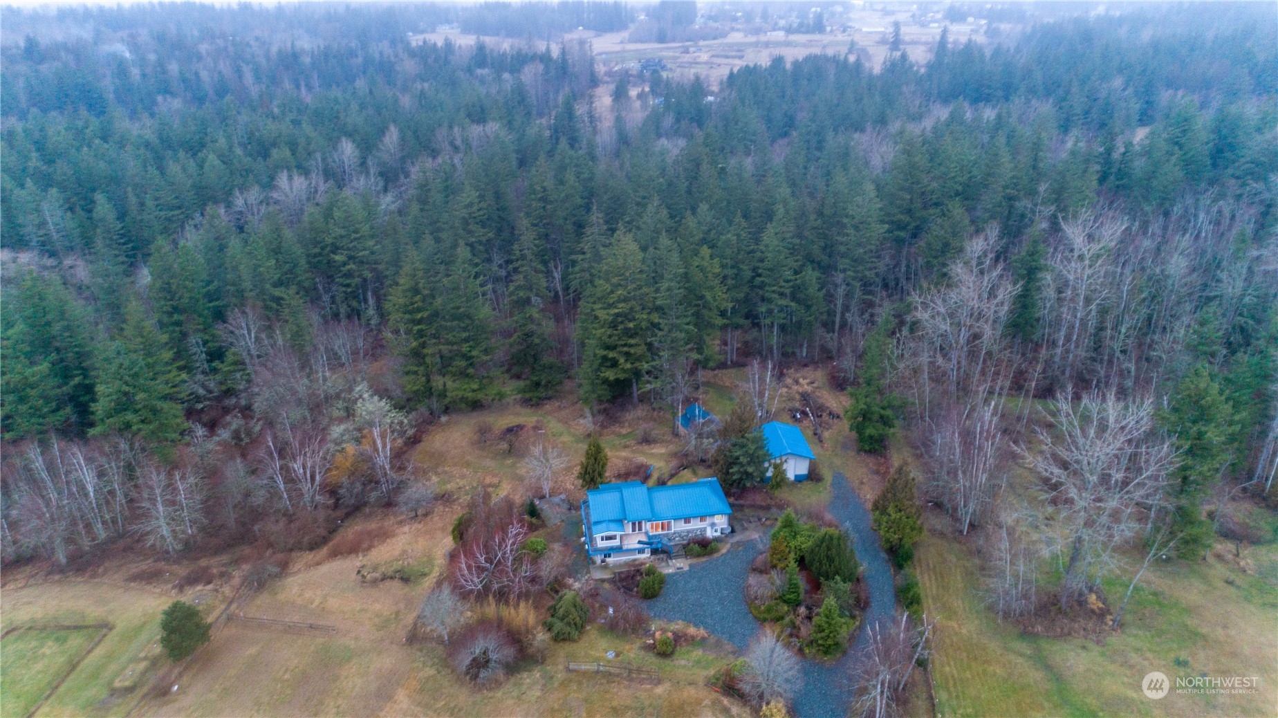 1848 Kelly Road Bellingham, WA 98226 - Photo 37 of 39 a view of a forest with a forest