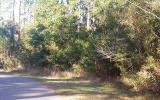 0 Wesley Road Yulee, FL 32097 - Photo 2 of 4 Gallery Image 2