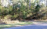 0 Wesley Road Yulee, FL 32097 - Photo 3 of 4 Gallery Image 3