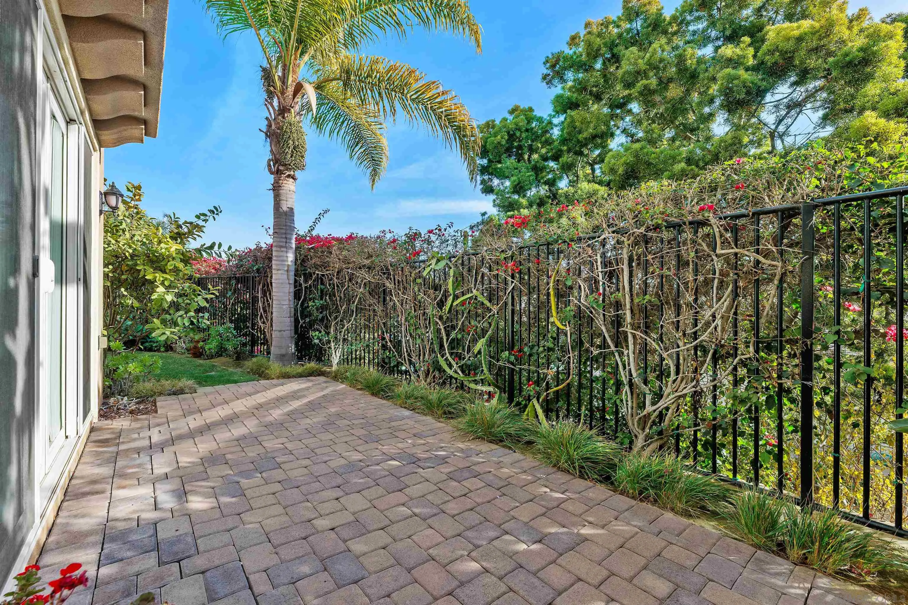 527 Quail Pointe Lane Encinitas, CA 92024 - Photo 42 of 46 a view of a yard with potted plants