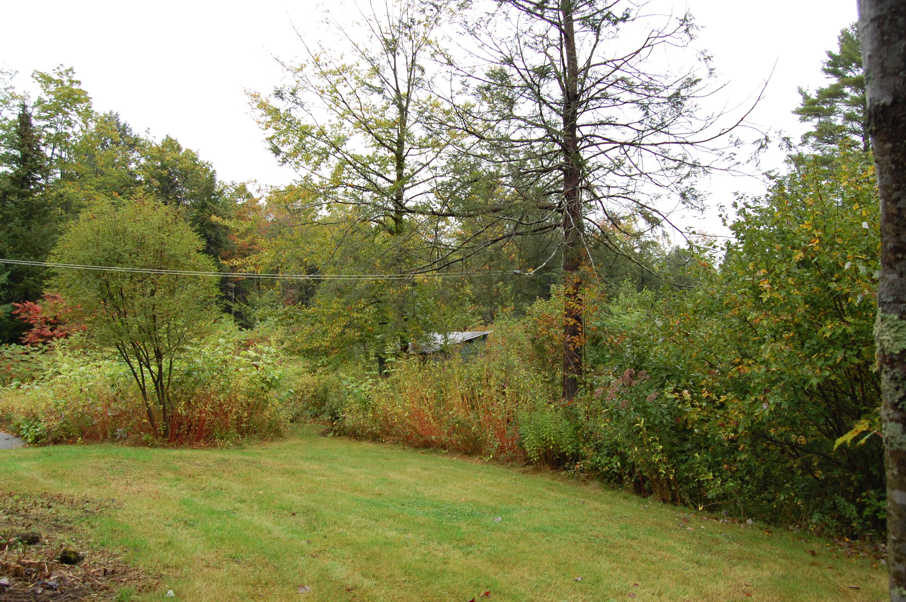 107 Meadow Cross Road Topsham, ME 04086 - Photo 11 of 15 DSC_0011