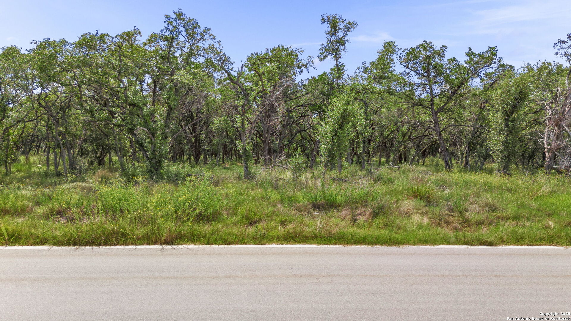 717 Live Oak Rdg Road Bulverde, TX 78163 - Photo 4 of 16