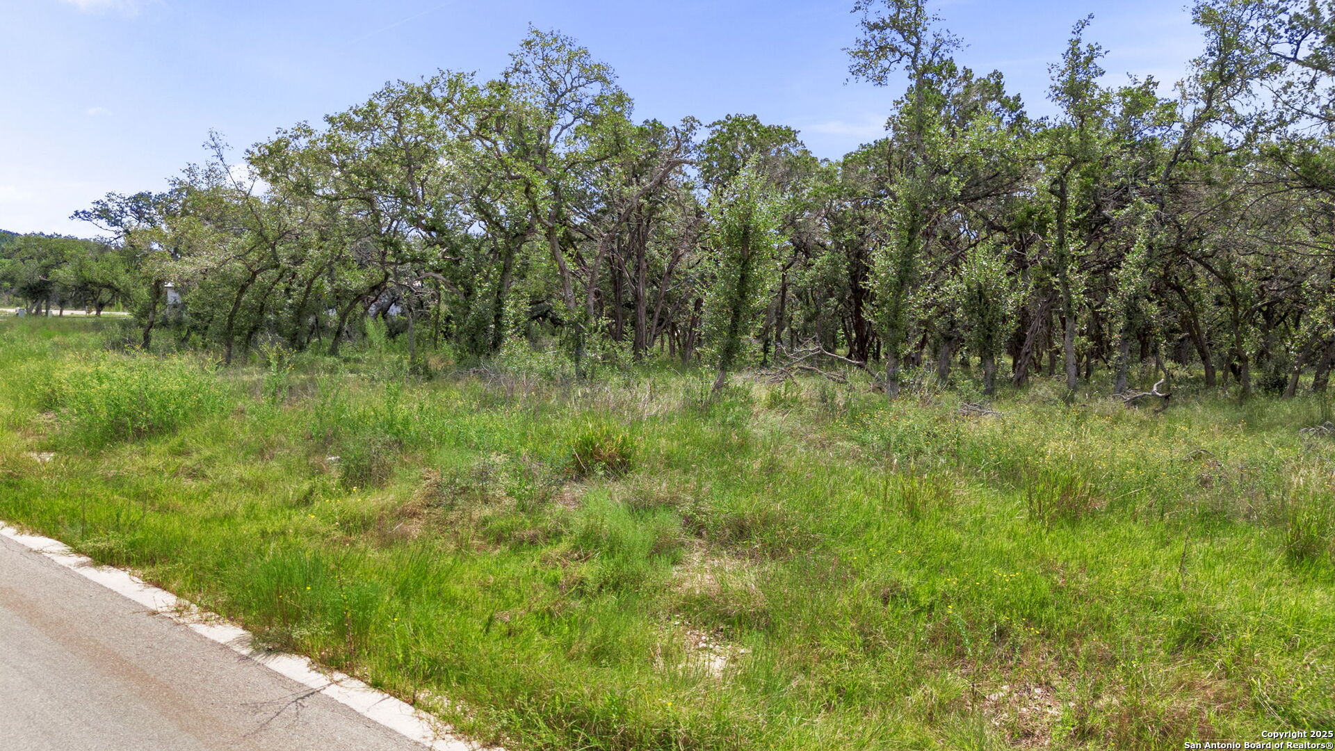 717 Live Oak Rdg Road Bulverde, TX 78163 - Photo 5 of 16