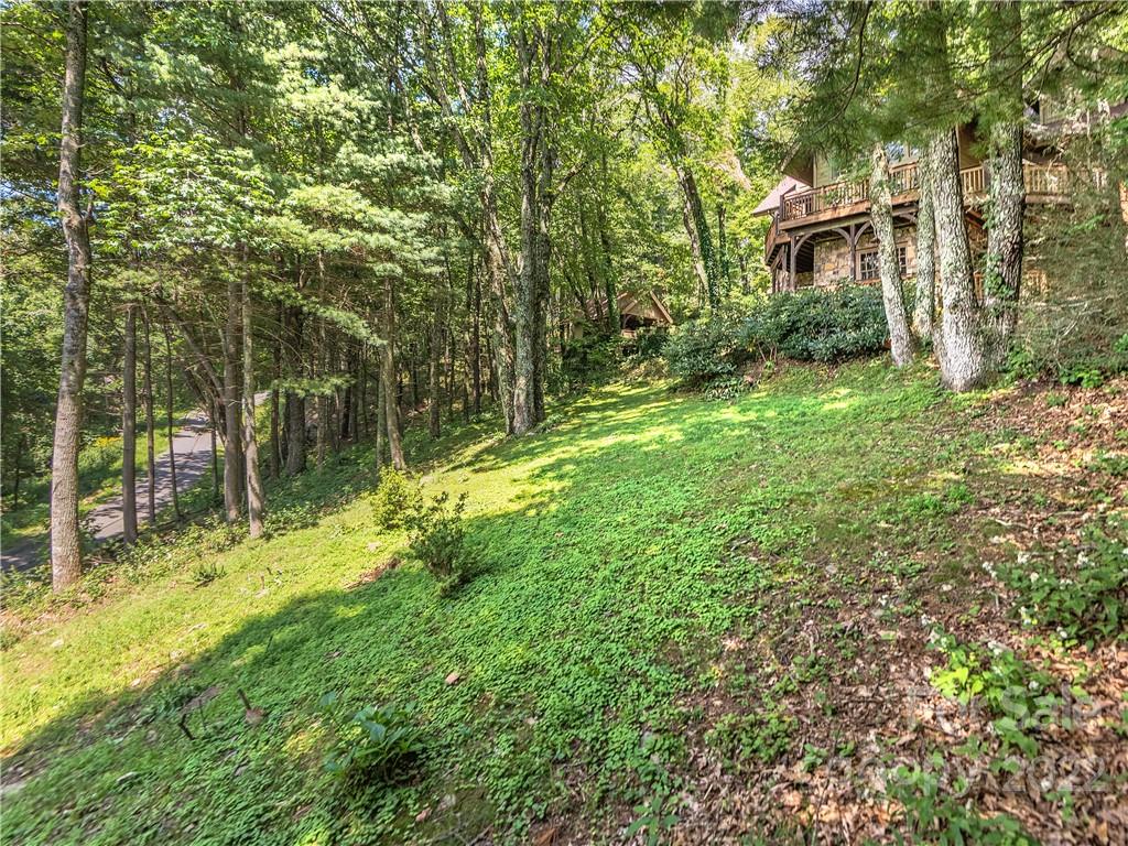 35 Hickory Forest Road Fairview, NC 28730 - Photo 40 of 48 Gallery Image 40