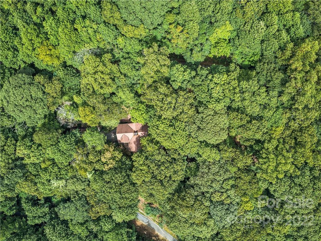 35 Hickory Forest Road Fairview, NC 28730 - Photo 45 of 48 Gallery Image 45