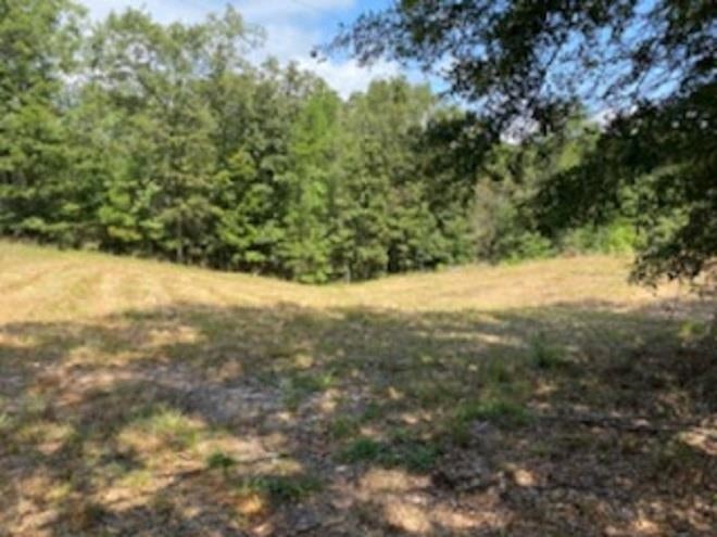 0 Snuffbox Road Andalusia, AL 36421 - Photo 3 of 6 Gallery Image 3