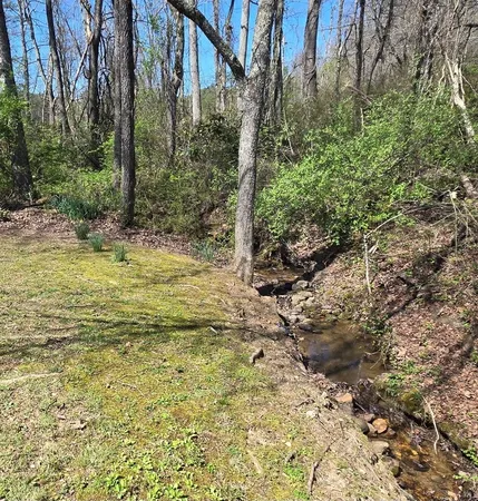 $1,200 | 129 Moccasin Road, Blairsville, GA 30512