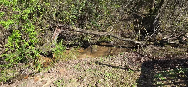 $1,200 | 129 Moccasin Road, Blairsville, GA 30512