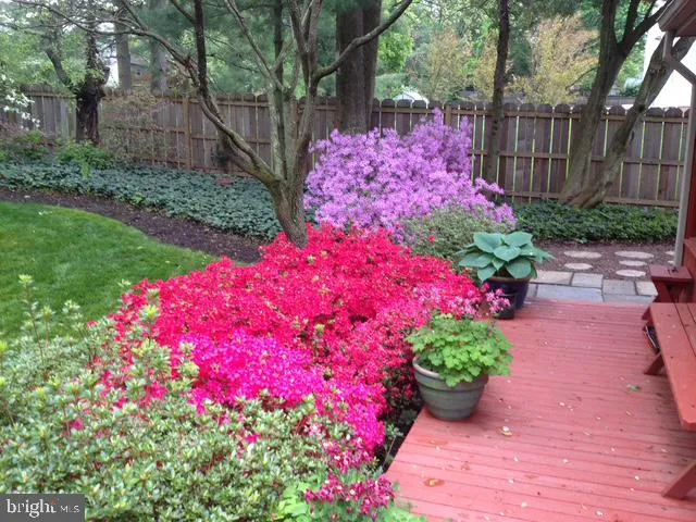 a view of a flower arrangement in backyard of house