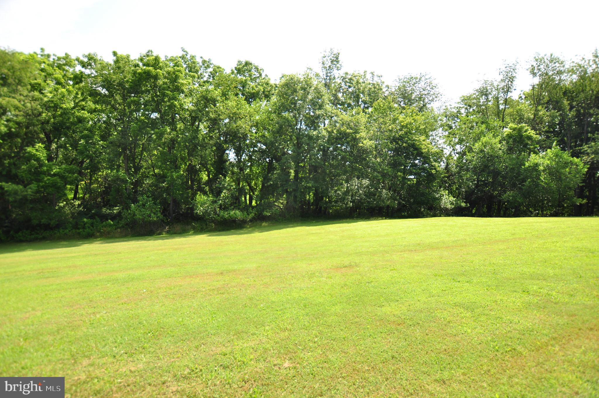 23309 Woodfield Road Gaithersburg, MD 20882 - Photo 11 of 69 Nice Open Yard