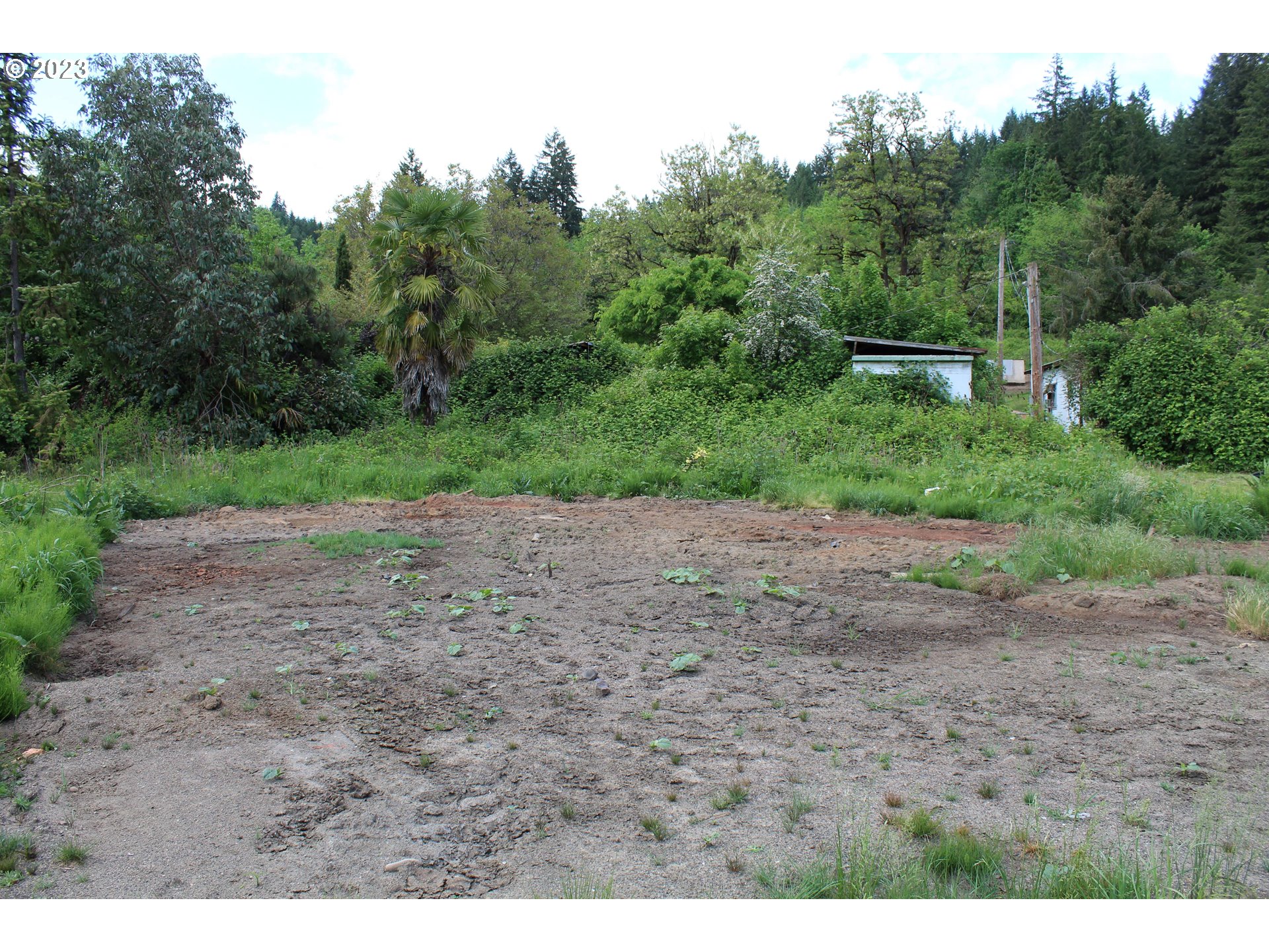 31344 Dutch Road Scappoose, OR 97056 - Photo 7 of 12 Gallery Image 7