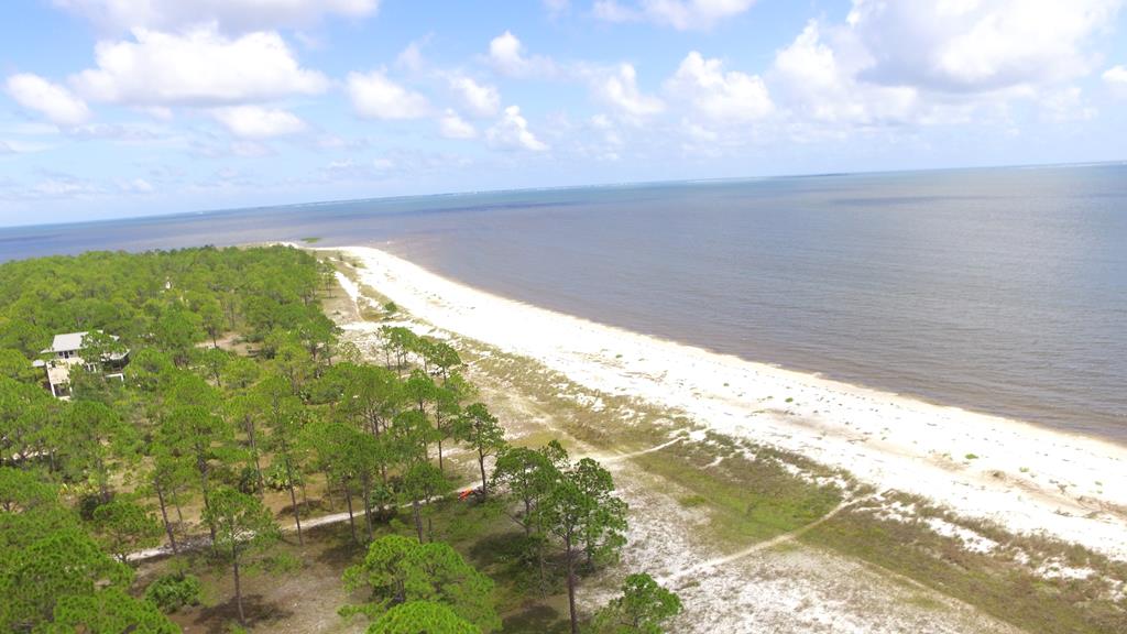 1850 Lighthouse Road Carrabelle, FL 32322 - Photo 51 of 65 Gallery Image 51