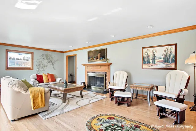 a living room with furniture and a fireplace