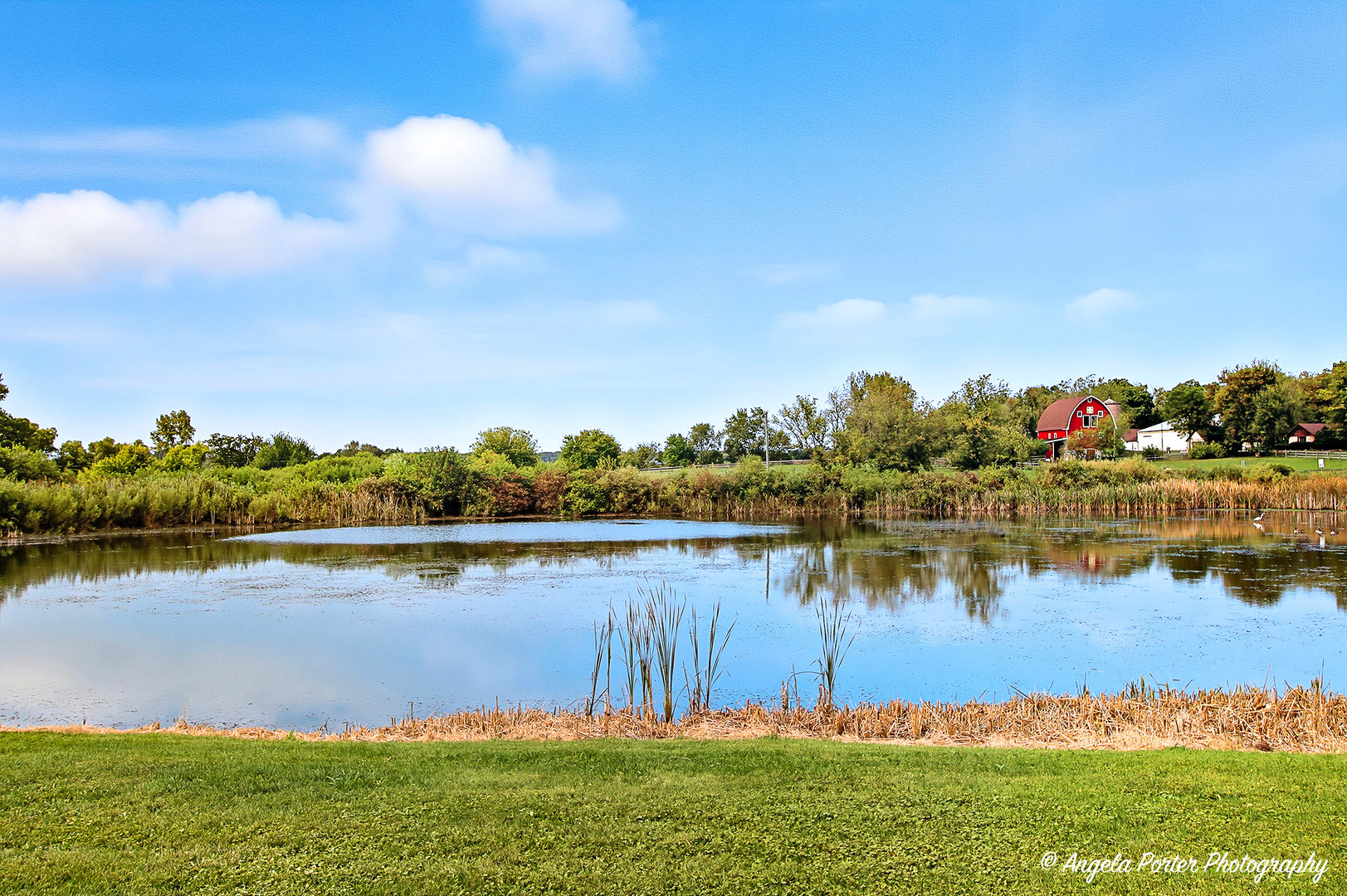 9206 Clark Road Richmond, IL 60071 - Photo 41 of 47