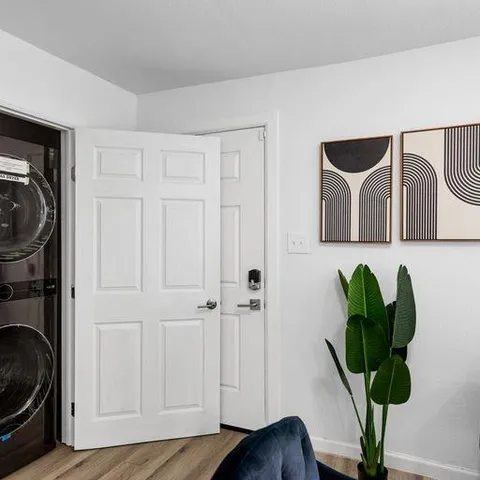 a view of a backyard with a large tree