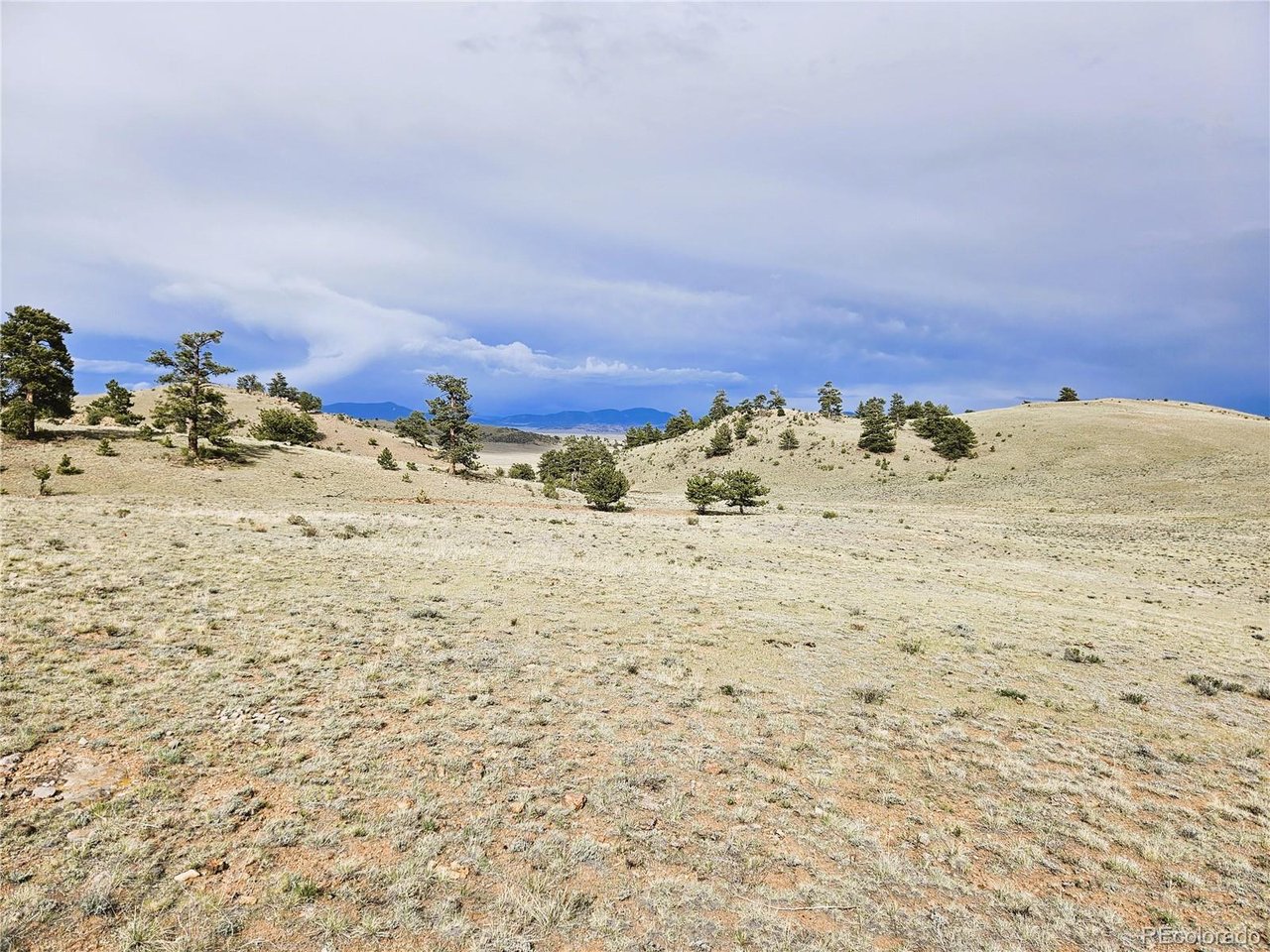 24131 Chato Road Hartsel, CO 80449 - Photo 19 of 28