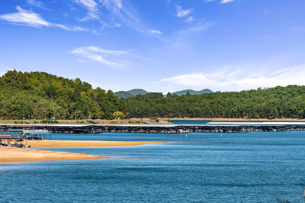 701 Eaton Road Blue Ridge, GA 30513 - Photo 89 of 98