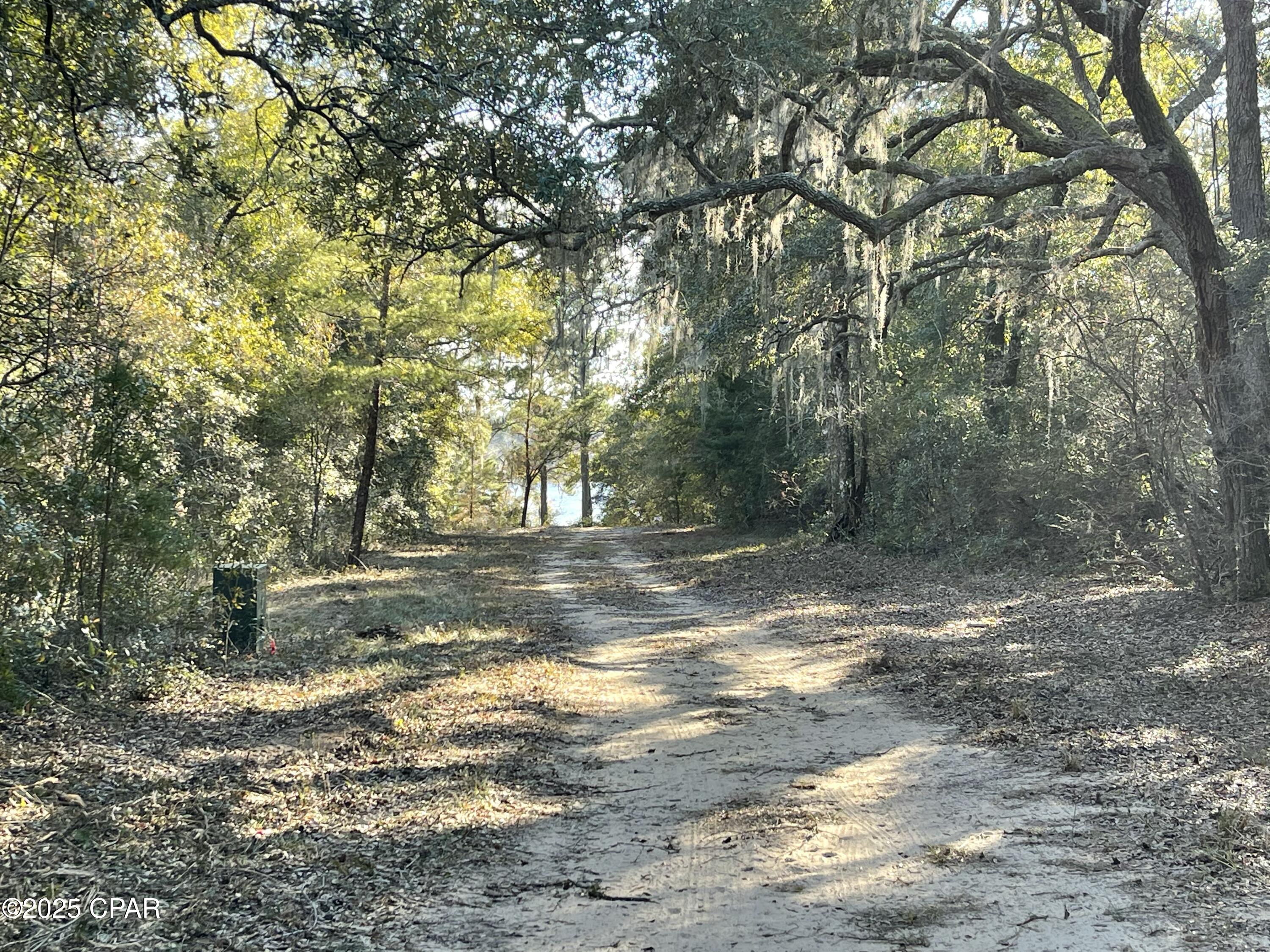 0 Bent Oaks Road Chipley, FL 32428 - Photo 2 of 21