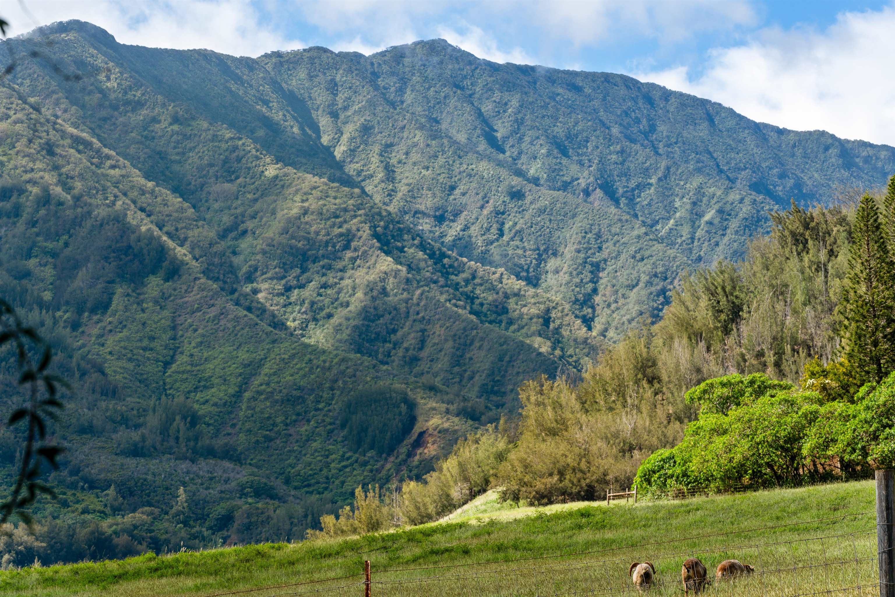 440 West Waiko Road Wailuku, HI 96793 - Photo 32 of 37