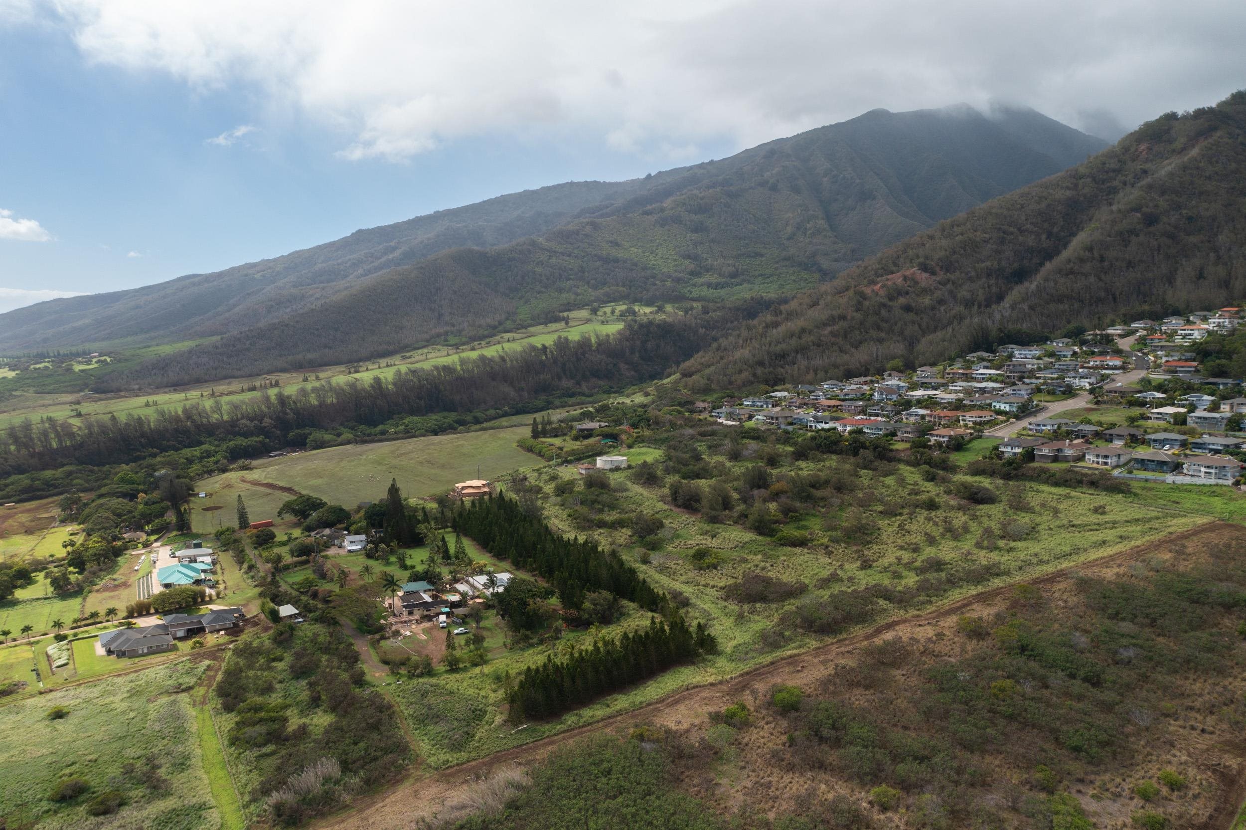 440 West Waiko Road Wailuku, HI 96793 - Photo 6 of 37