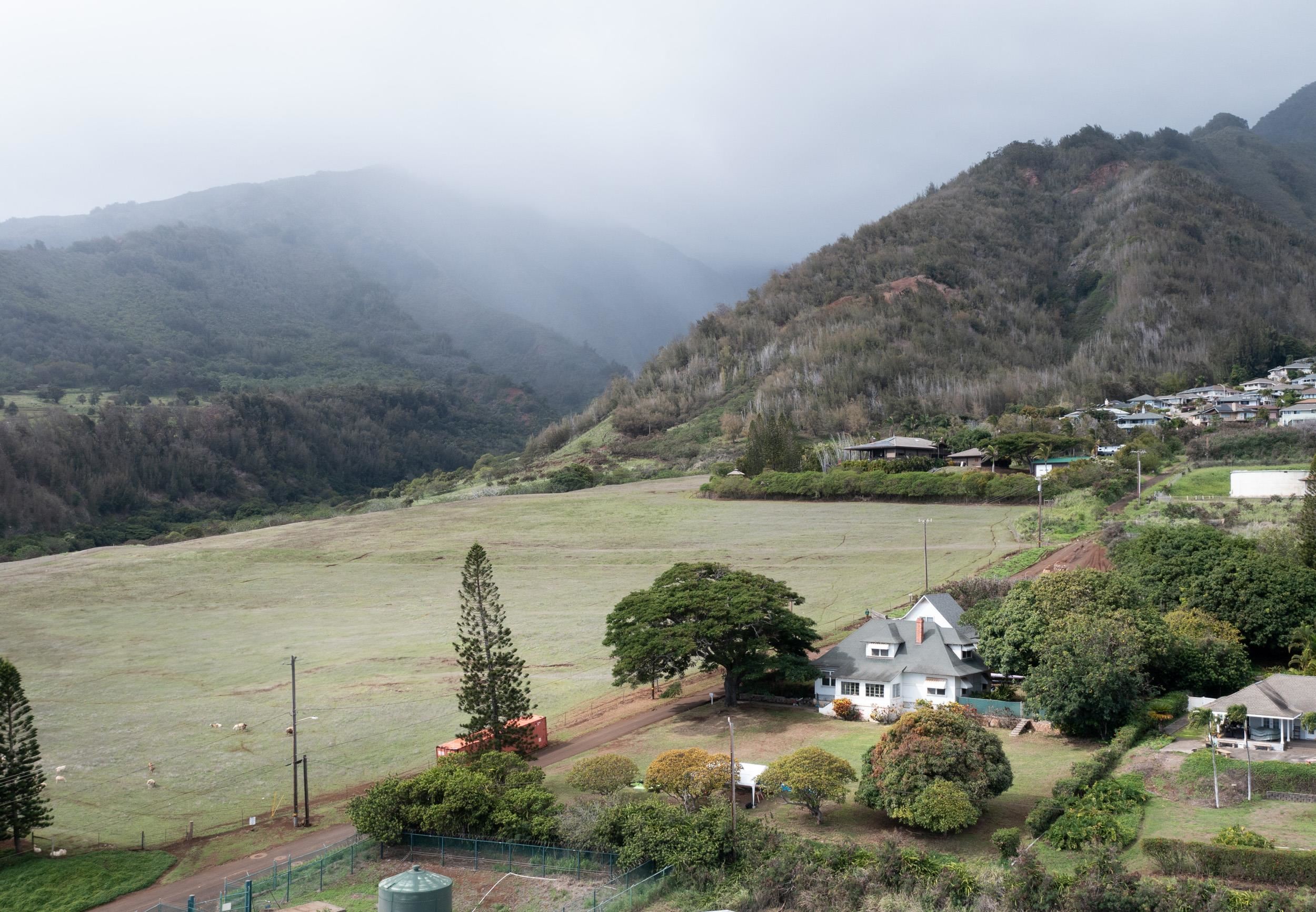 440 West Waiko Road Wailuku, HI 96793 - Photo 8 of 37