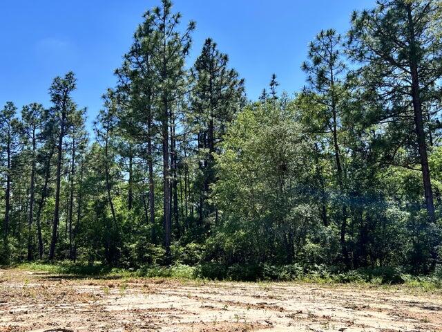 Na Fire Tower Road Aiken, SC 29803 - Photo 3 of 5