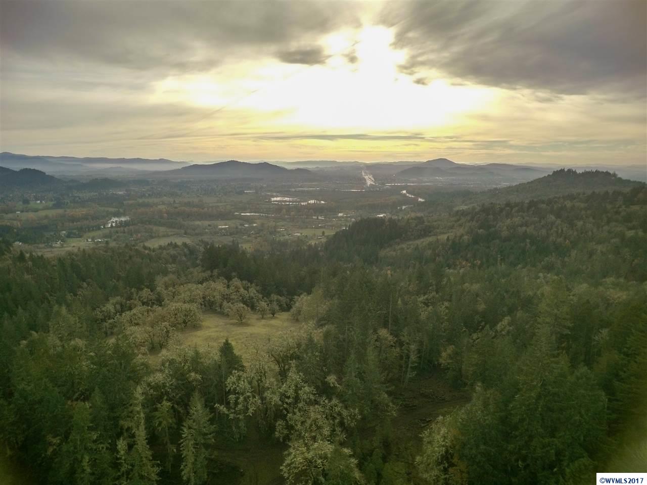 Camp Creek Springfield, OR 97478 - Photo 10 of 32 a view of city and mountain