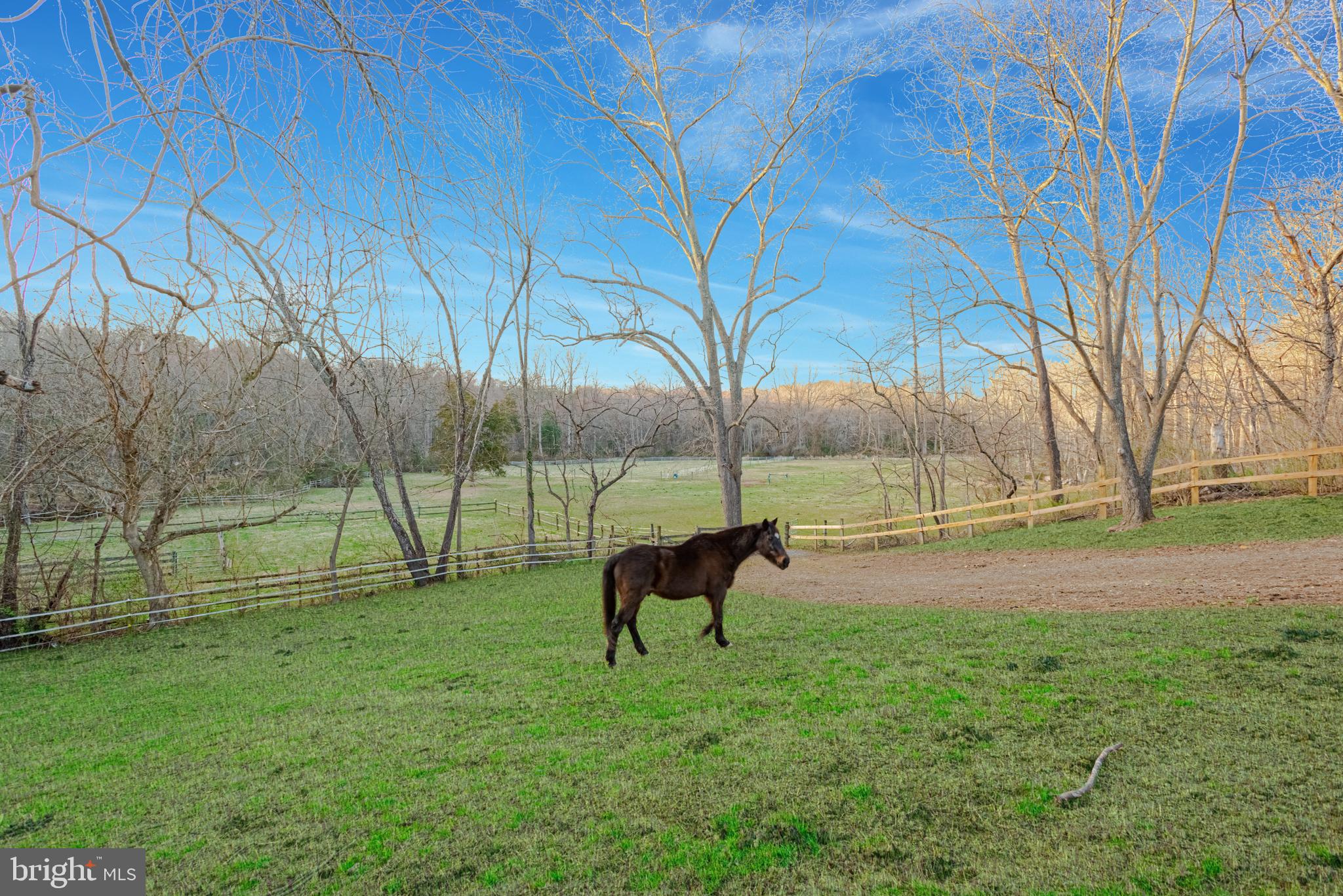 10728 Vale Road Oakton, VA 22124 - Photo 4 of 23 Gallery Image 4