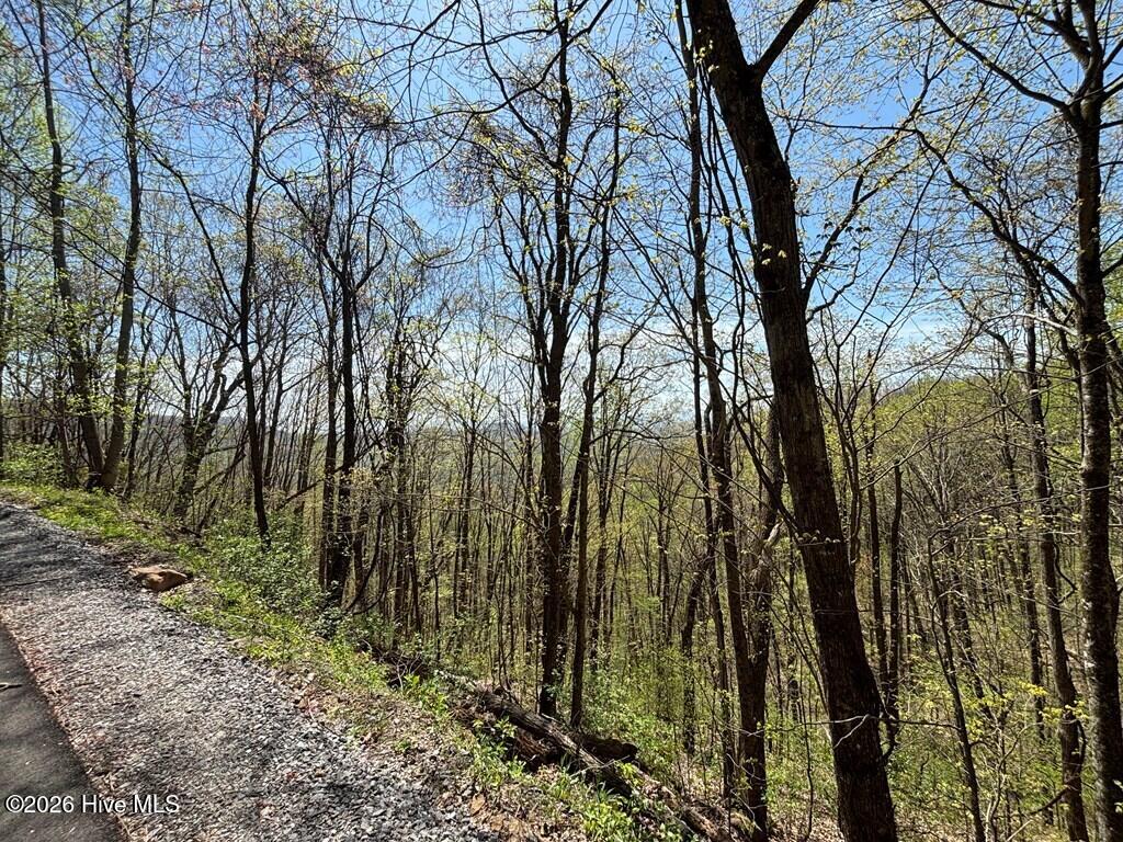 Lot 4 Outlook Road Murphy, NC 28906 - Photo 7 of 10