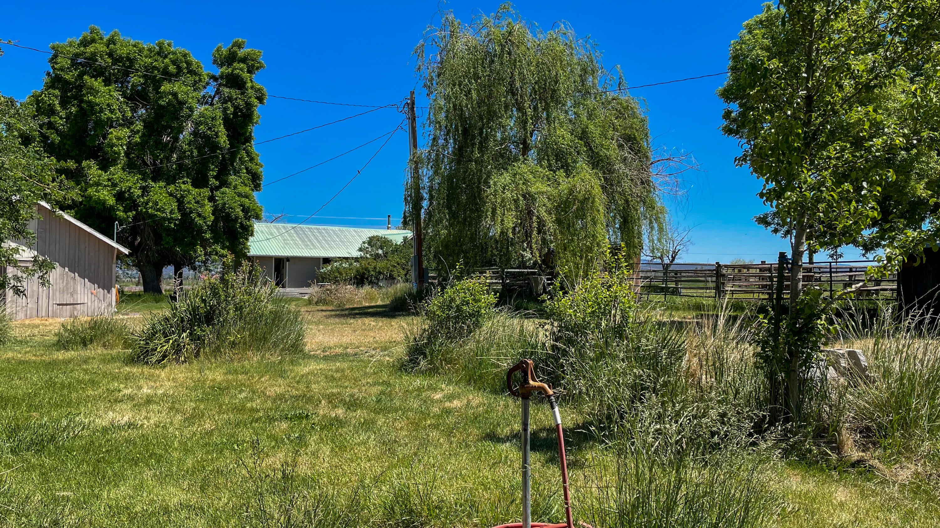 14212 Southwest Riggs Road Powell Butte, OR 97753 - Photo 23 of 48 farmstead buildings/ trees