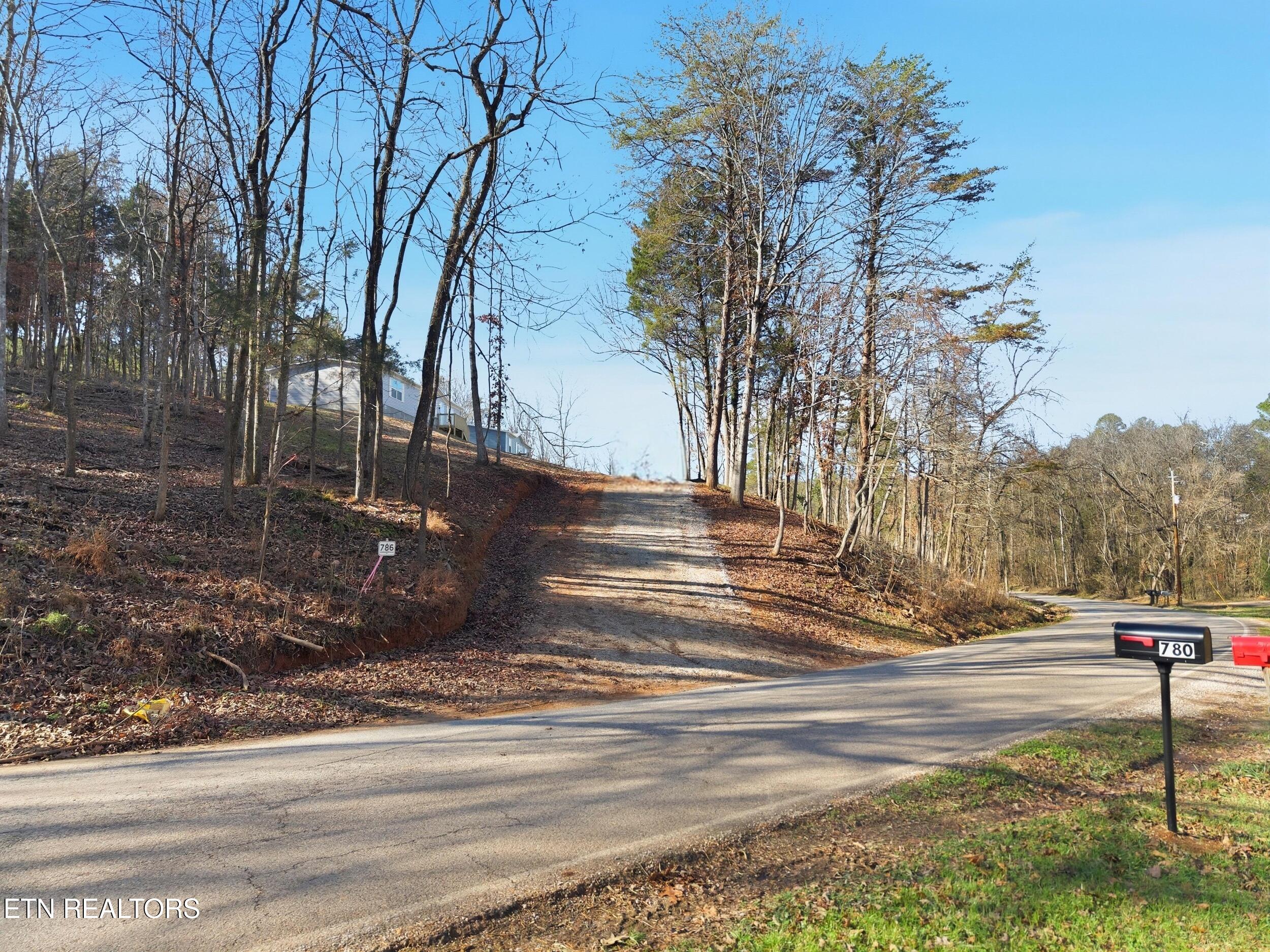 780 Little Dogwood Road Kingston, TN 37763 - Photo 5 of 27 005