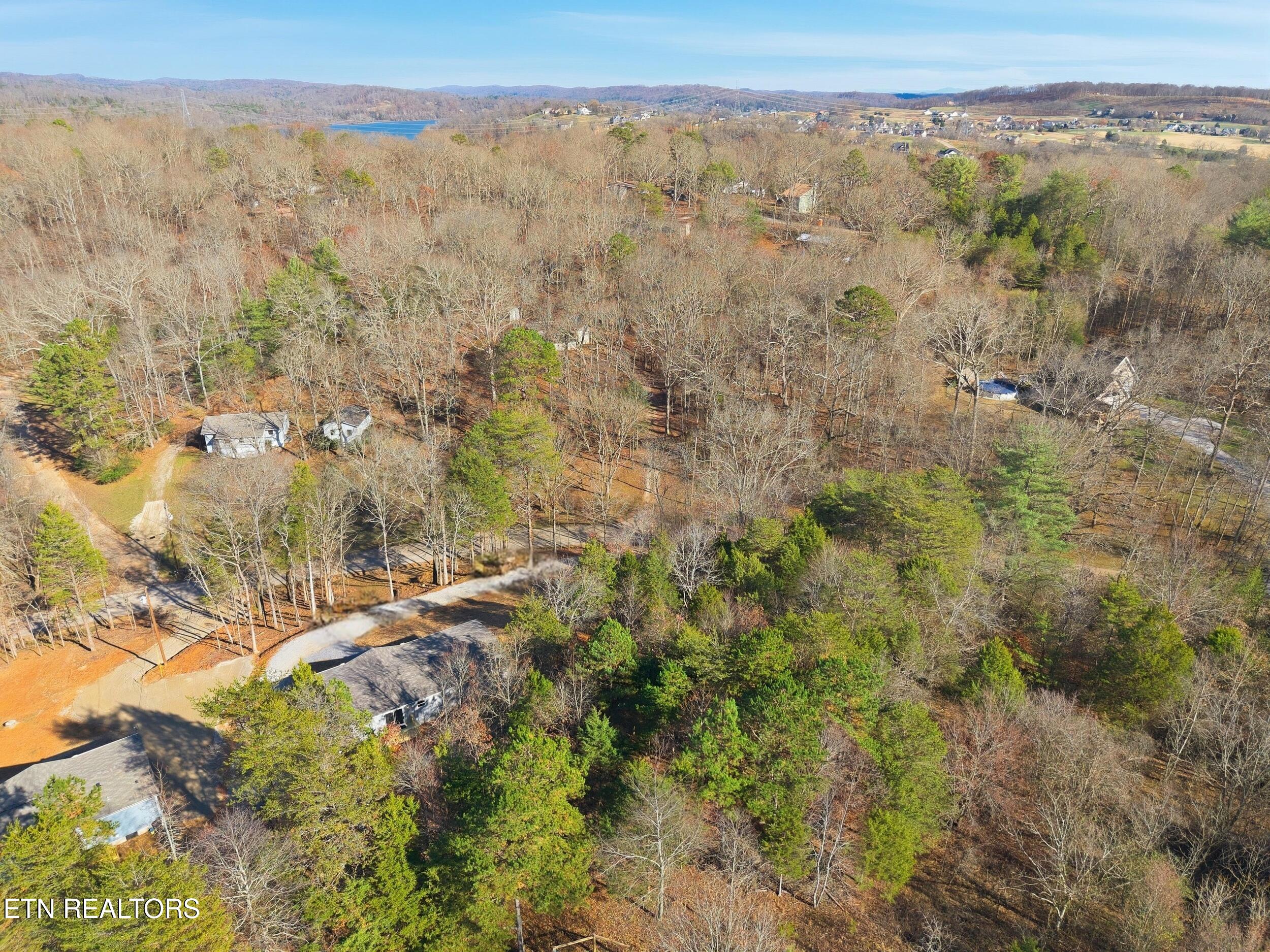 780 Little Dogwood Road Kingston, TN 37763 - Photo 6 of 27 009