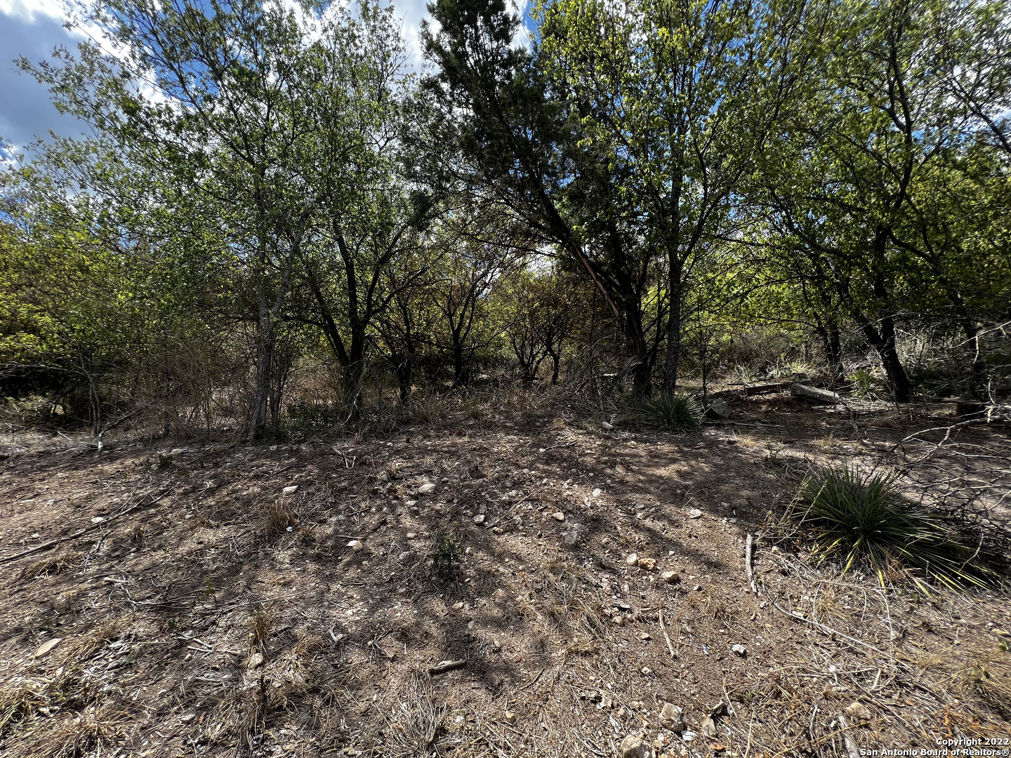 7915 Krueger Moore Road San Antonio, TX 78250 - Photo 8 of 9 a view of outdoor space with trees