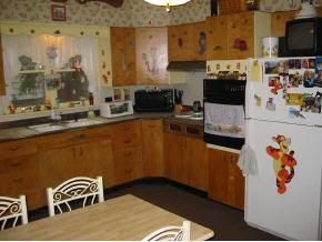 1317 Madison Street Rochester, IN 46975 - Photo 2 of 5