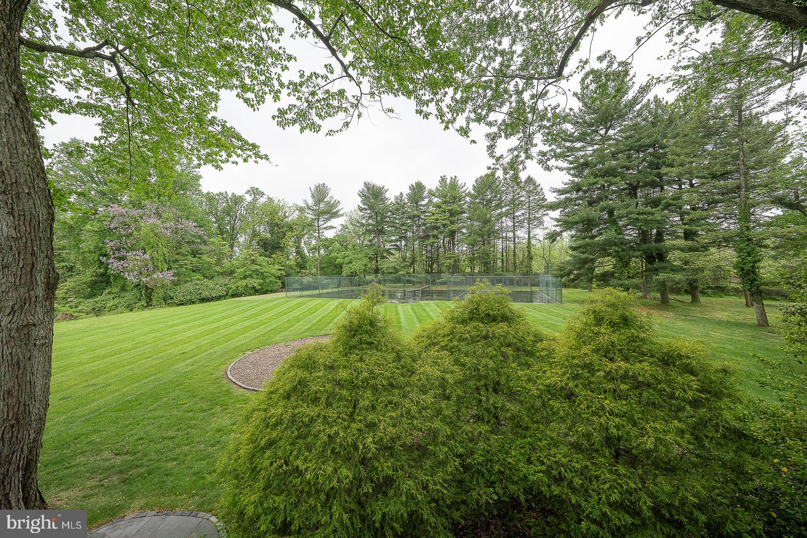 55 Wistar Road Villanova, PA 19085 - Photo 49 of 51 a view of a green field with lots of bushes