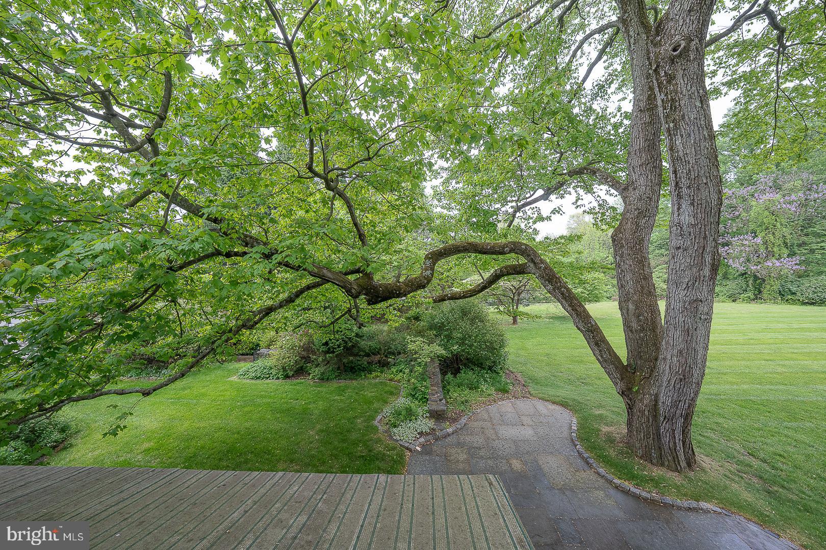 55 Wistar Road Villanova, PA 19085 - Photo 50 of 51 a view of backyard with green space