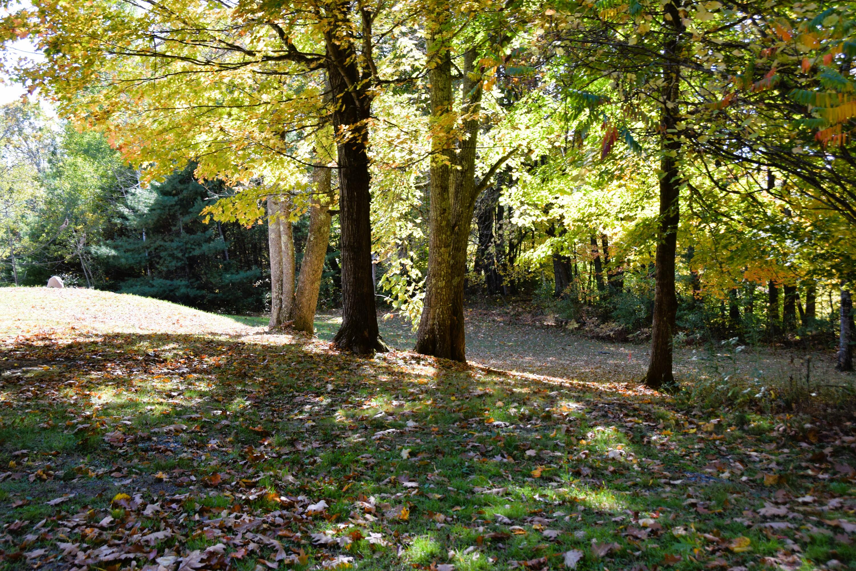 423 East River Road Skowhegan, ME 04976 - Photo 43 of 49 DSC_0006