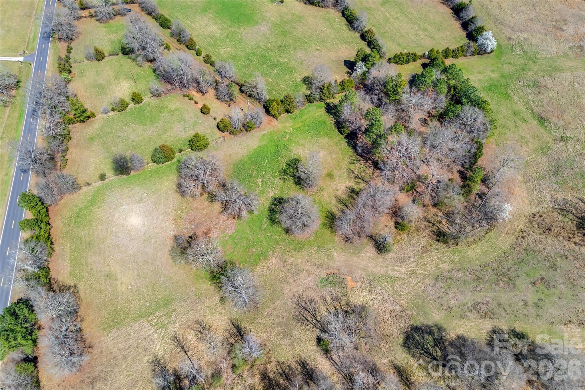 2548 Gordon Road Rock Hill, SC 29732 - Photo 13 of 19 a view of a plant with a yard