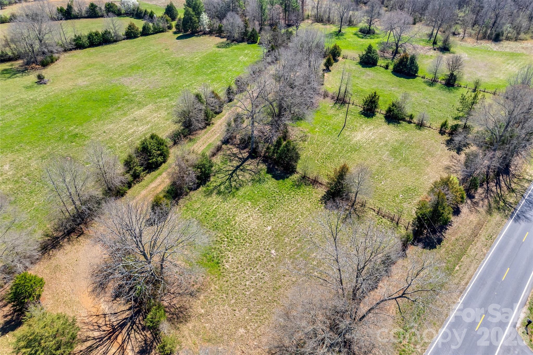 2548 Gordon Road Rock Hill, SC 29732 - Photo 18 of 19 a view of a yard with plants and large trees