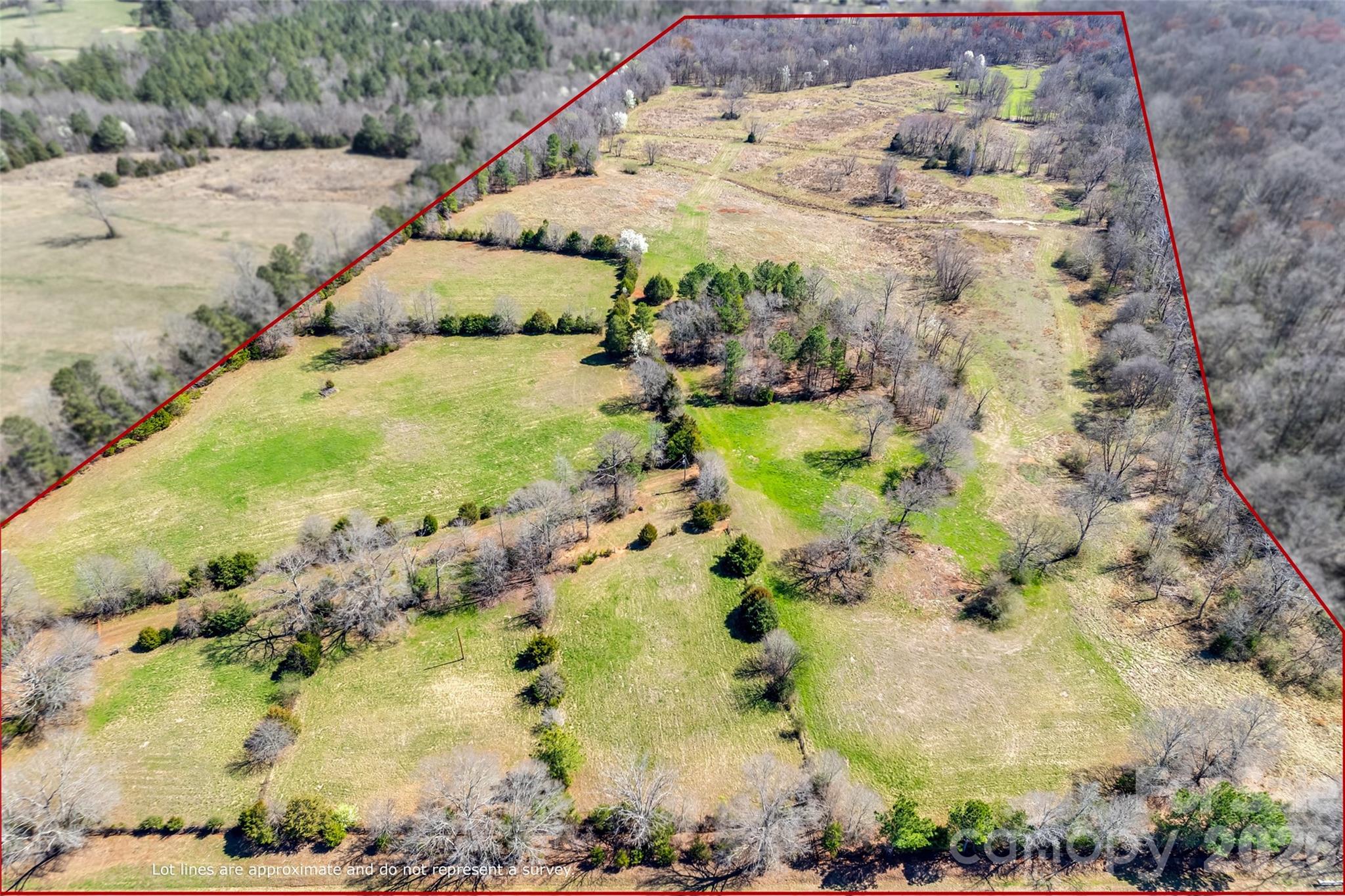 2548 Gordon Road Rock Hill, SC 29732 - Photo 3 of 19