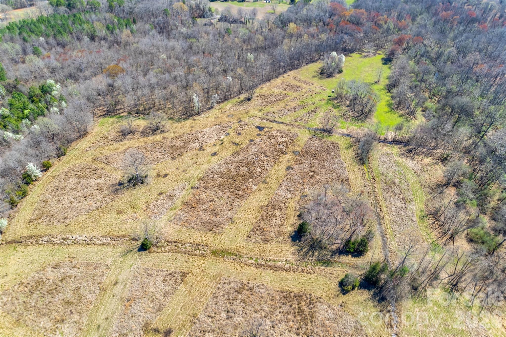 2548 Gordon Road Rock Hill, SC 29732 - Photo 7 of 19 a view of a dry yard with wooden fence