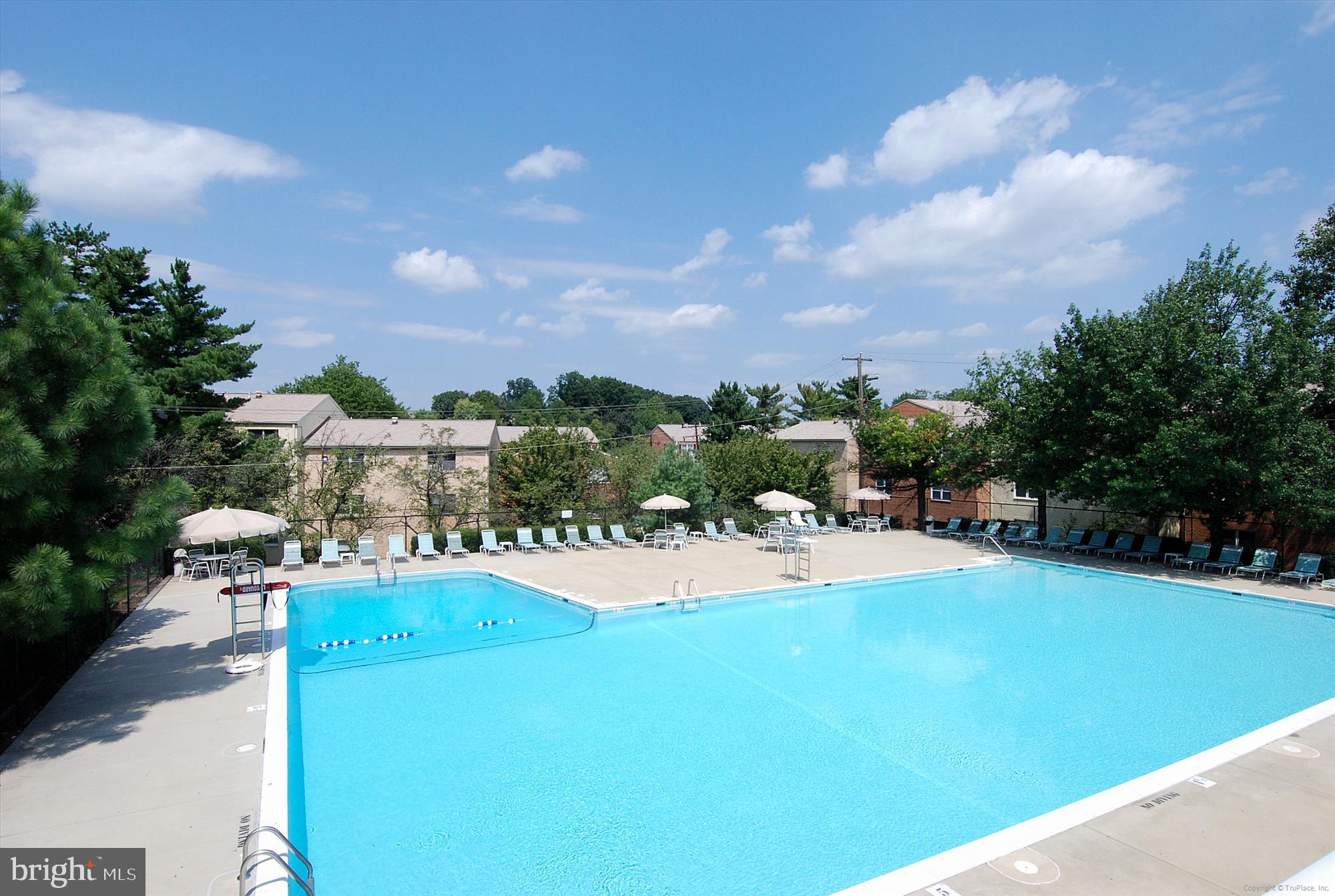 5909 Quantrell Avenue, Unit 203 Alexandria, VA 22312 - Photo 23 of 33 a view of a swimming pool and a yard