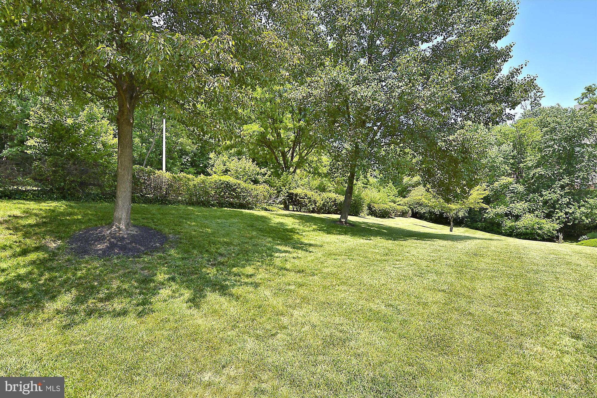 5909 Quantrell Avenue, Unit 203 Alexandria, VA 22312 - Photo 31 of 33 a view of a field with trees in the background