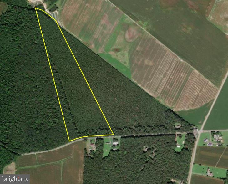 Deer Forest Road Bridgeville, DE 19933 - Photo 1 of 5