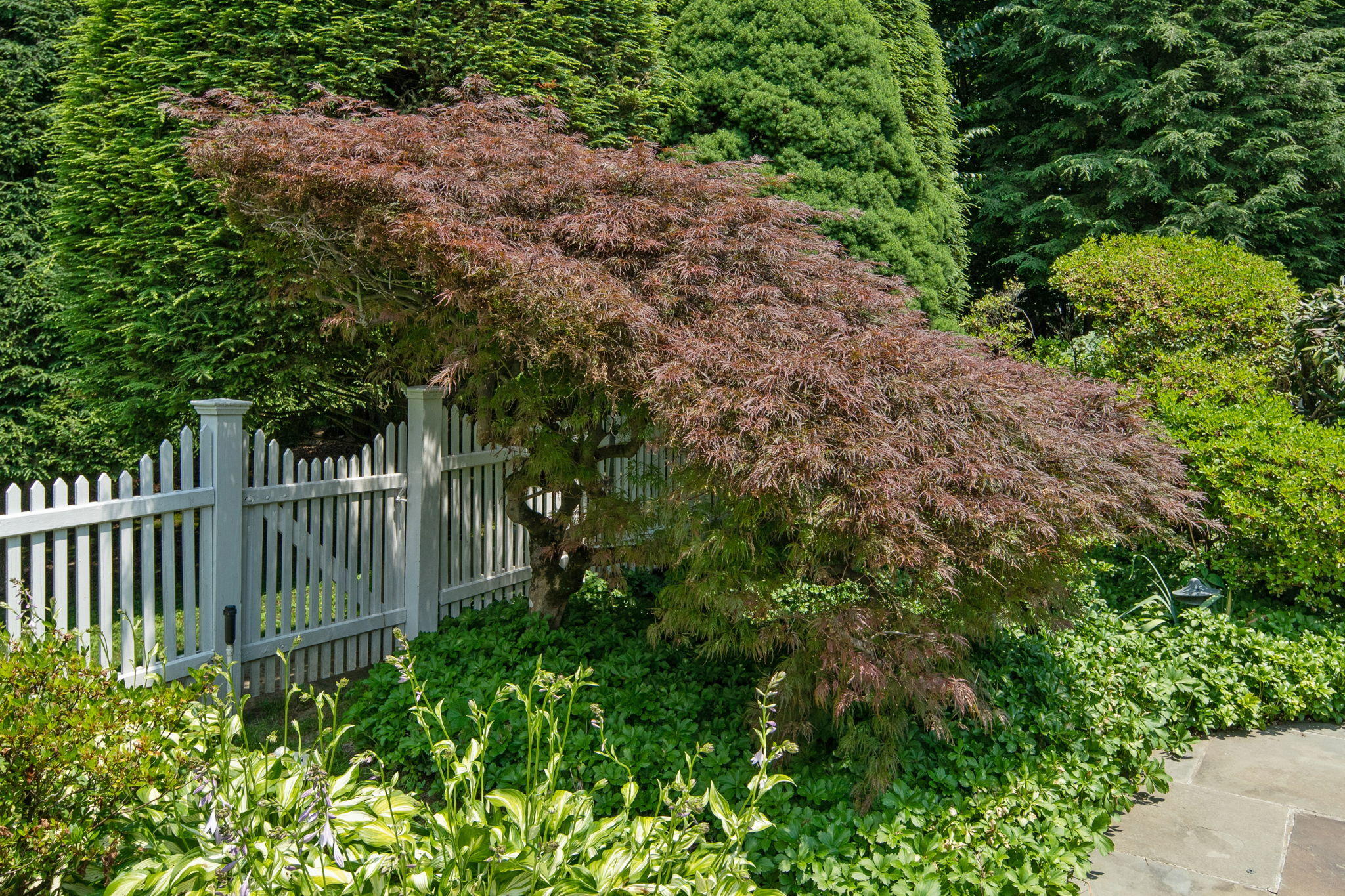 2061 Ponus Ridge Road New Canaan, CT 06840 - Photo 12 of 50 a view of a fence