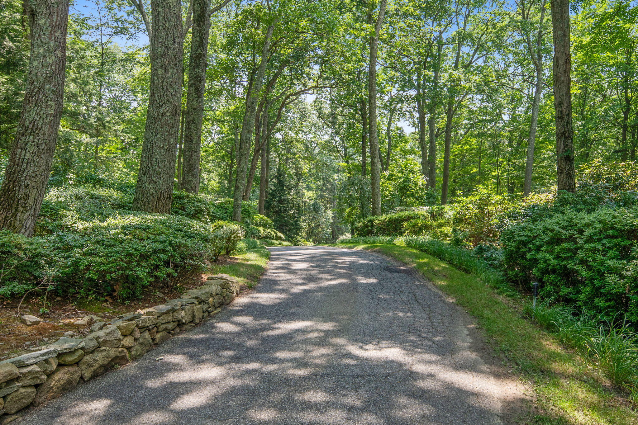 2061 Ponus Ridge Road New Canaan, CT 06840 - Photo 34 of 50 a view of a forest with trees