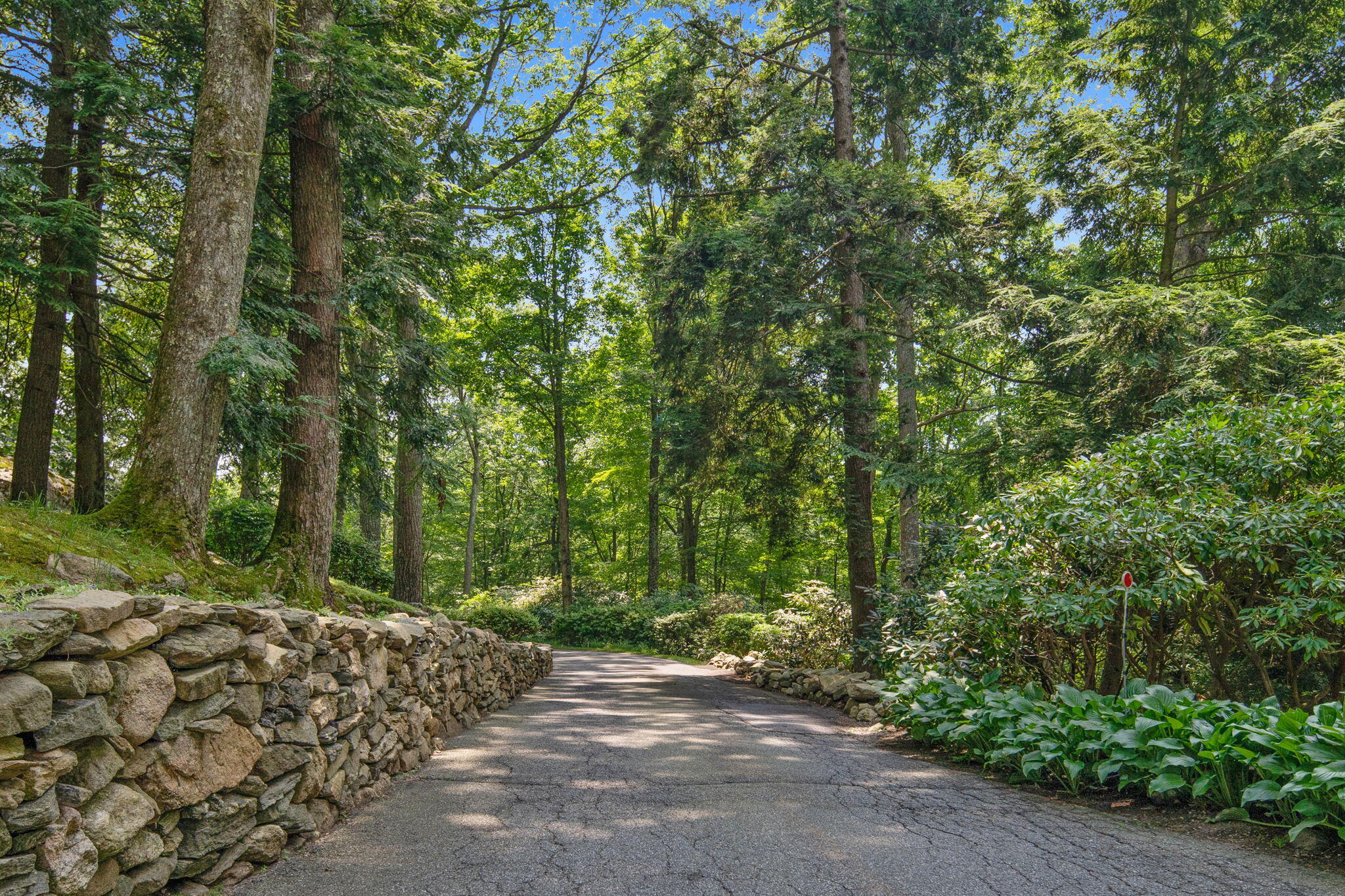 2061 Ponus Ridge Road New Canaan, CT 06840 - Photo 5 of 50 a view of a road with plants and large trees